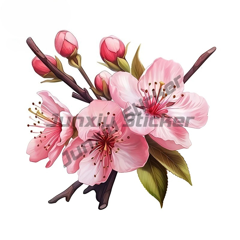Stiker Mobil Artistik Sakura M - Laptop Accessories Pink ulasan dan harga